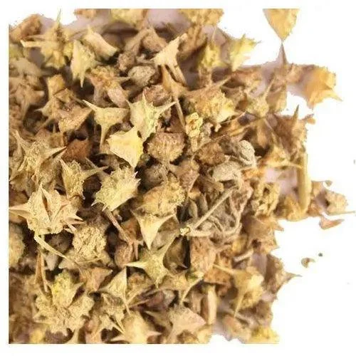 Gokhru Fruit (Tribulus terrestris) used in Femina